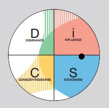 Interview Tips; DiSC Profile