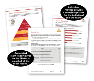 Five Behaviors of a Cohesive Team Assessment